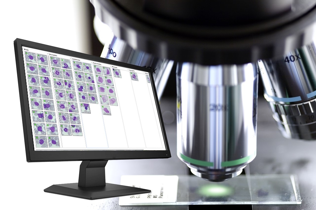 HORIBA présente l'option réseau pour l'outil de formation numérique à la morphologie