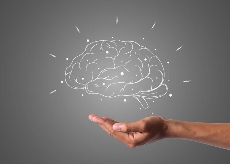 Flinders research uncovers how enteric nervous system in the gut communicates with the brain