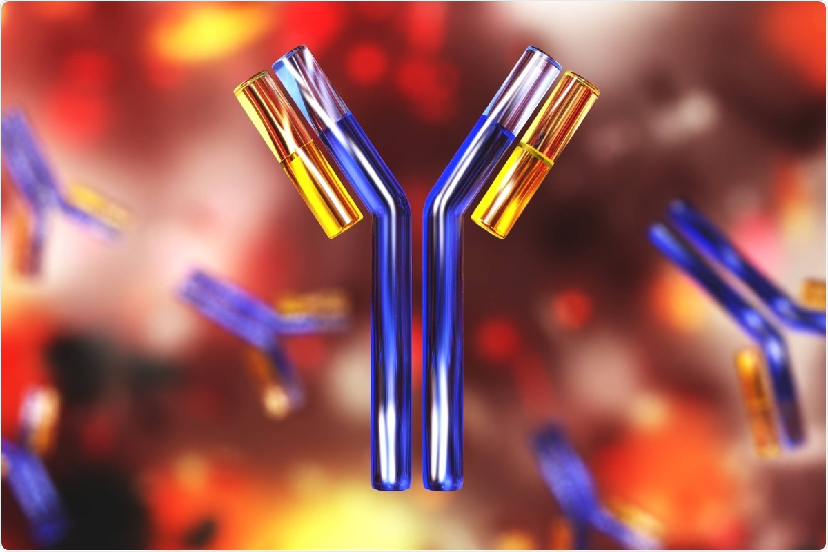 La trajectoire de l'immunité des lymphocytes B six mois après la vaccination par l'ARNm