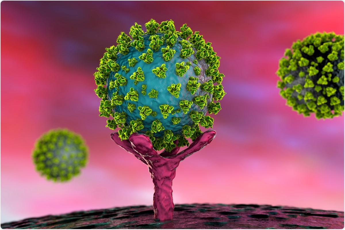 Le CRIPSR identifie les modificateurs ACE2 spécifiques au type de cellule