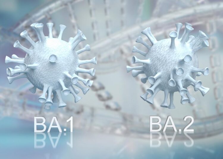 L'immunité hybride et la vaccination de rappel offrent la meilleure protection contre le SRAS-CoV-2 BA.1 et BA.2