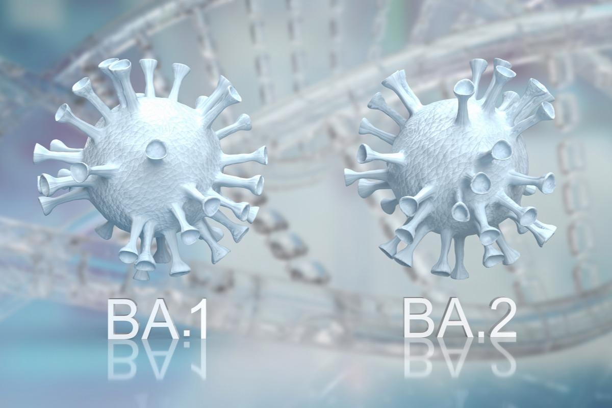 L'immunité hybride et la vaccination de rappel offrent la meilleure protection contre le SRAS-CoV-2 BA.1 et BA.2