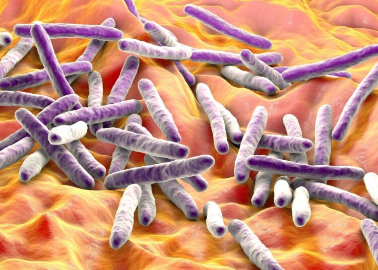 Study: Mice infected with Mycobacterium tuberculosis are resistant to acute disease caused by secondary infection with SARS-CoV-2. Image Credit: Kateryna Kon