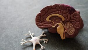 Paralysie cérébrale chez l'enfant
