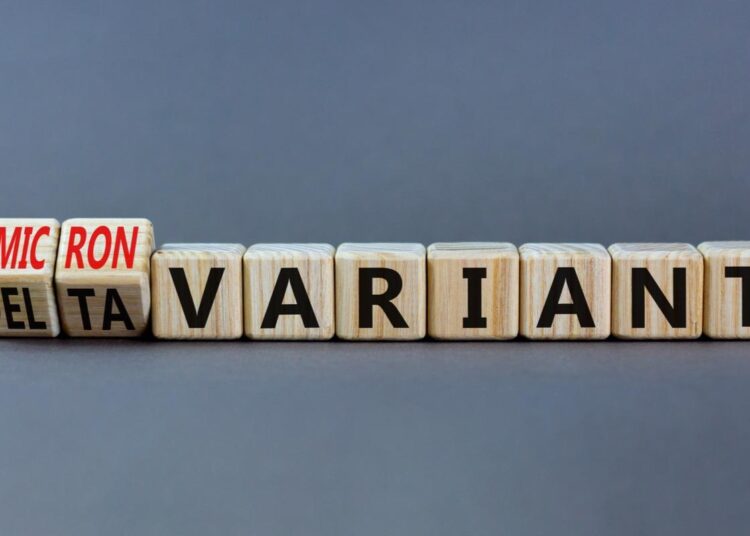 Study: Risk of COVID-19 related deaths for SARS-CoV-2 Omicron (B.1.1.529) compared with Delta (B.1.617.2). Image Credit: Dmitry Demidovich/Shutterstock
