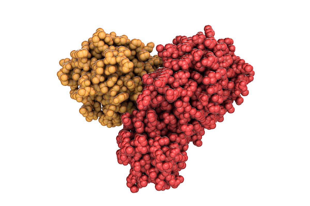 Study: Molecular dynamics and docking studies on potentially active natural phytochemicals for targeting SARS-CoV-2 Main Protease. Image Credit: Kateryna Kon/Shutterstock