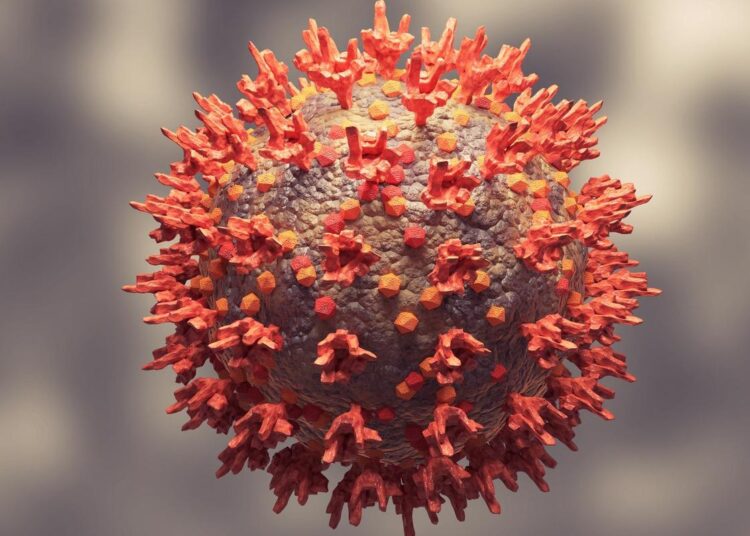 Study: SARS-CoV-2 Omicron (BA.1 and BA.2) specific novel CD8+ and CD4+ T cell epitopes targeting spike protein. Image Credit: Adao/Shutterstock