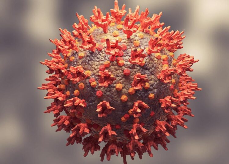 Study: mRNA booster vaccination protects extremely aged mice against the SARS-CoV-2 Omicron variant. Image Credit: Adao/Shutterstock