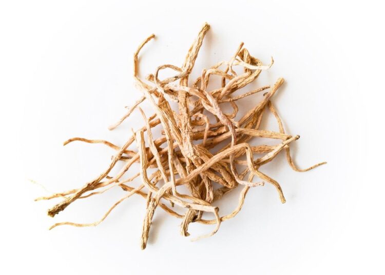 Study: Salvia miltiorrhiza Bunge as a Potential Natural Compound against COVID-19. Image Credit: Bankoo/Shutterstock