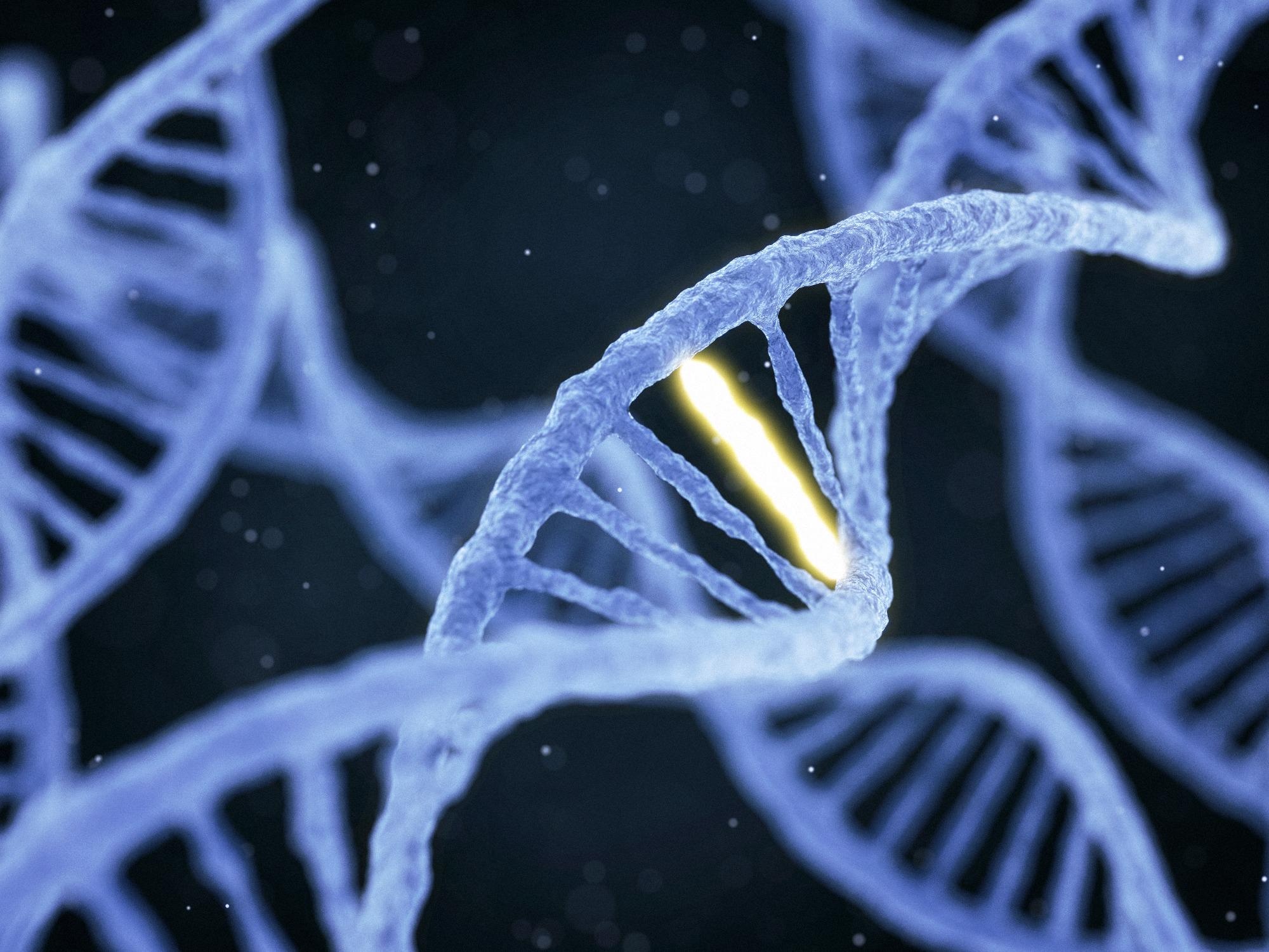 Study: Somatic mutation rates scale with lifespan across mammals. Image Credit: Konstantin Faraktinov / Shutterstock
