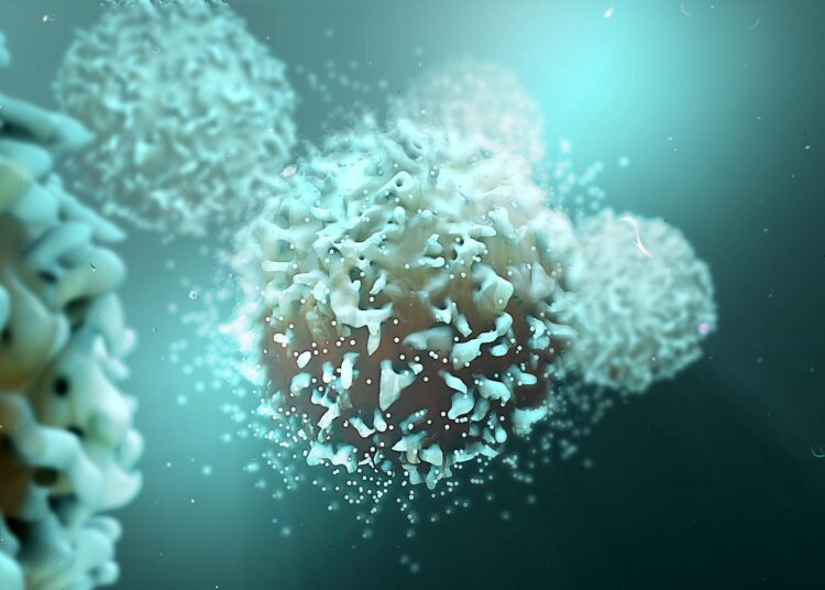 Study: SARS-CoV-2 mutations affect proteasome processing to alter CD8+ T cell responses. Image Credit: Design_Cells / Shutterstock