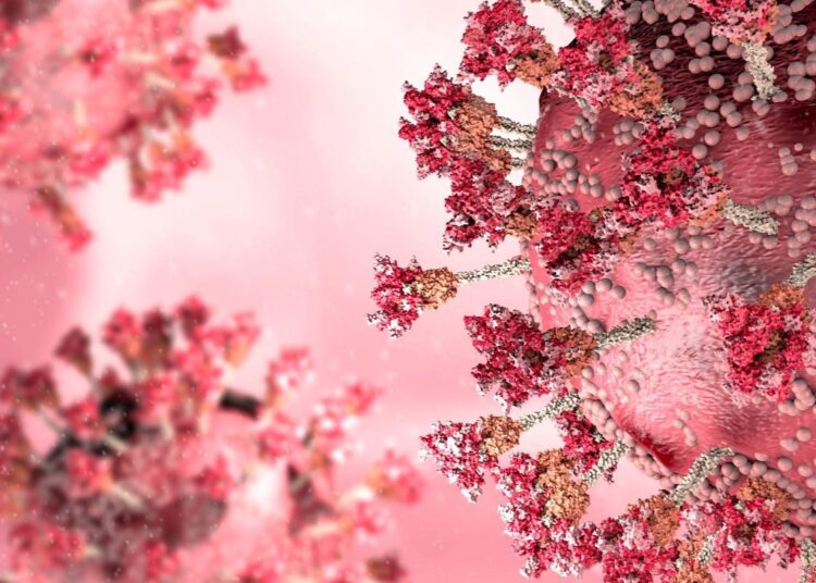 Study: Intrinsic furin-mediated cleavability of the spike S1/S2 site from SARS-CoV-2 variant B.1.529 (Omicron). Image Credit: Naeblys/Shutterstock