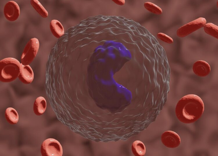Study: Transcriptional reprogramming from innate immune functions to a pro-thrombotic signature upon SARS-CoV-2 sensing by monocytes in COVID-19. Image Credit: MohamadOuaidat / Shutterstock