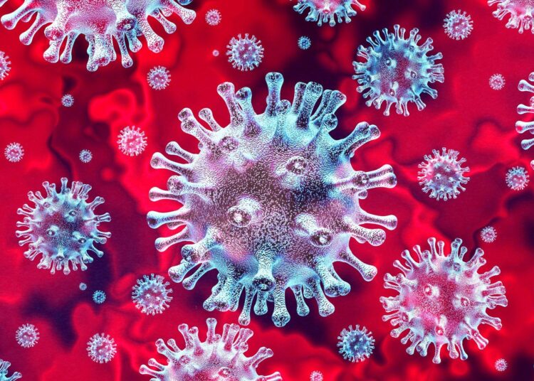 Study: Transmission of SARS-CoV-2 in standardised First Few X cases and household transmission investigations: a systematic review and meta-analysis. Image Credit: Lightspring / Shutterstock
