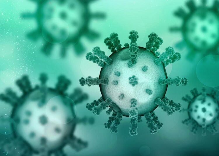 Study: SARS-CoV-2 Omicron is specifically restricted in its replication in human lung tissue, compared to other variants of concern. Image Credit: jijomathaidesigners/Shutterstock