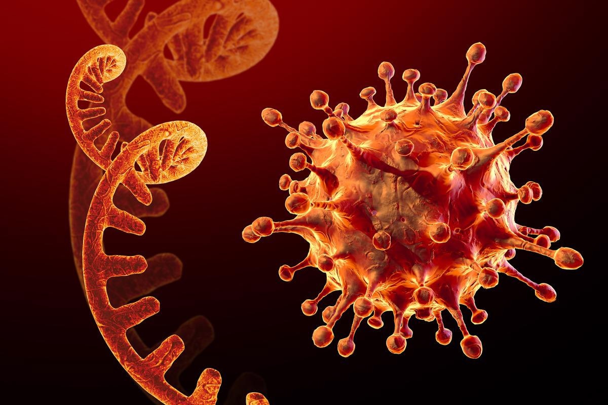 Study: Emergence of new subgenomic mRNAs in SARS-CoV-2. Image Credit: CROCOTHERY/Shutterstock