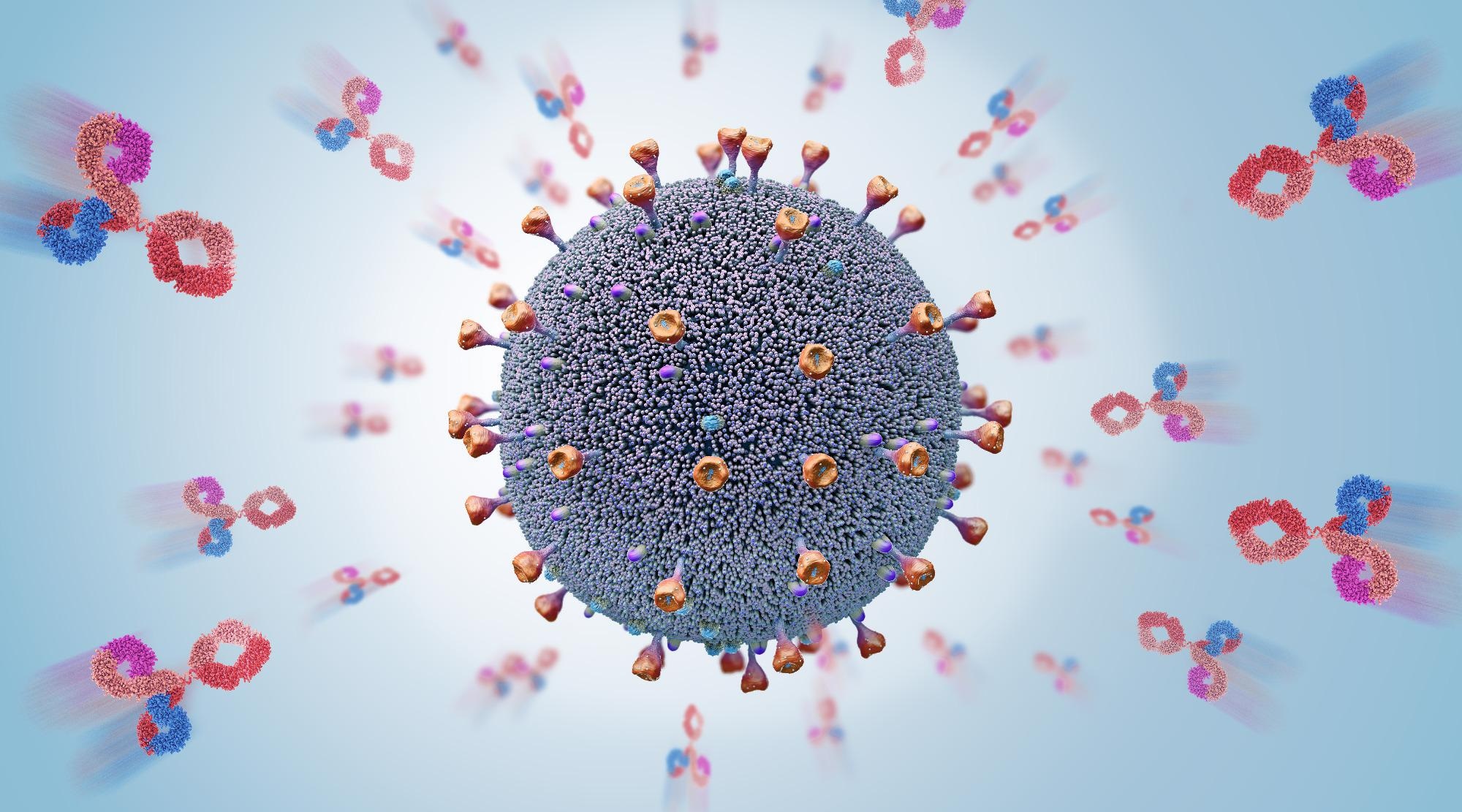 Study: Prior vaccination enables a more robust immune response to Omicron infection. Image Credit: Christoph Burgstedt / Shutterstock