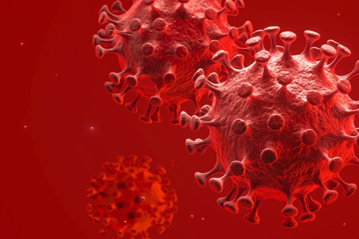 Study: Cell cycle independent role of cyclin D3 in host restriction of SARS-CoV-2 infection. Image Credit: 3DJustincase/Shutterstock