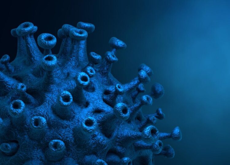 Study: Anti-SARS-Cov-2 S-RBD IgG formed after BNT162b2 vaccination can bind C1q and activate complement. Image Credit: CROCOTHERY/Shutterstock