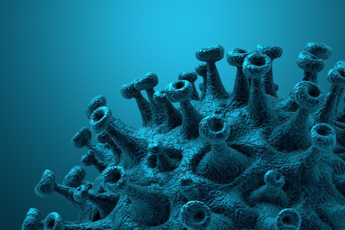 Study: Immunouniverse of SARS-CoV-2. Image Credit: CROCOTHERY/Shutterstock