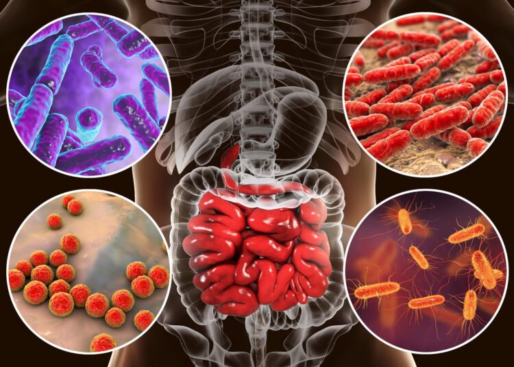Study: The gut microbiota and metabolome is associated with diminished COVID-19 vaccine-induced antibody responses in immunosuppressed inflammatory bowel disease patients. Image Credit: Kateryna Kon / Shutterstock