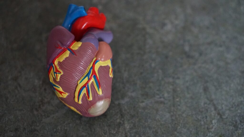 Le MBSR contre l’hypertension