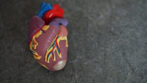 Le MBSR contre l’hypertension