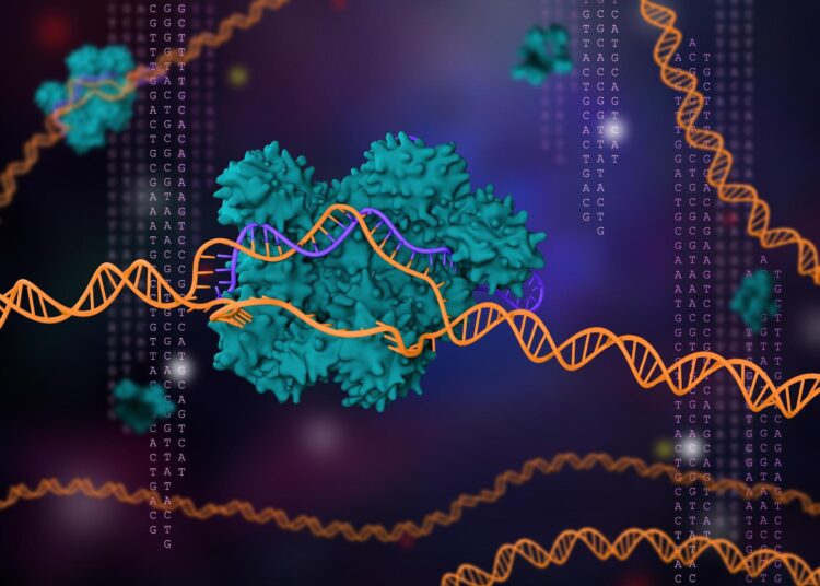 Study: CRISPR-based point-of-care diagnostics incorporating Cas9, Cas12, and Cas13 enzymes advanced for SARS-CoV-2 detection. Image Credit: Meletios Verras / Shutterstock