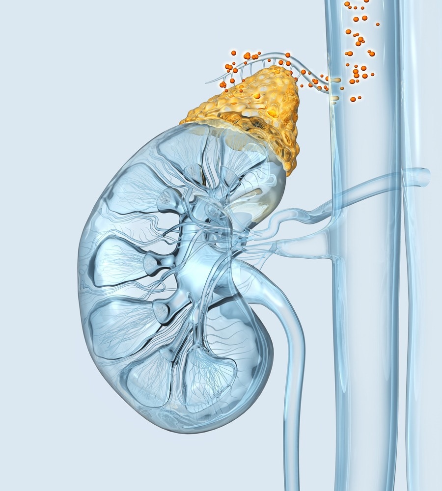 Study: Cortisol Levels During Acute Illnesses in Children and Adolescents. Image Credit: Axel_Kock / Shutterstock.com