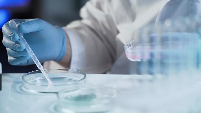 Marine organism compounds may have potential to help human fertility
