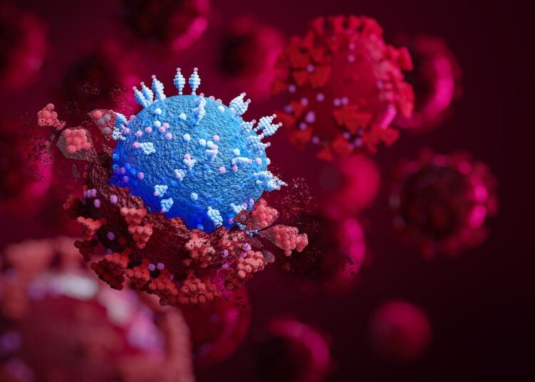 Study: SARS-CoV-2 Variant Spike and accessory gene mutations alter pathogenesis. Image Credit: Fit Ztudio/Shutterstock