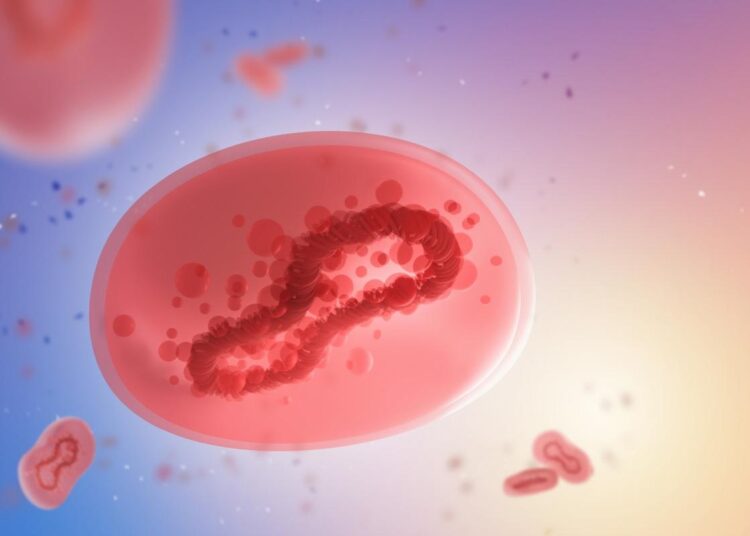 Study: Monkeypox viruses circulate in distantly-related small mammal species in the Democratic Republic of the Congo. Image Credit: FOTOGRIN/Shutterstock