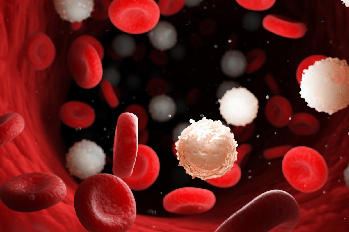 Crédit d'image : SciePro/Shutterstock