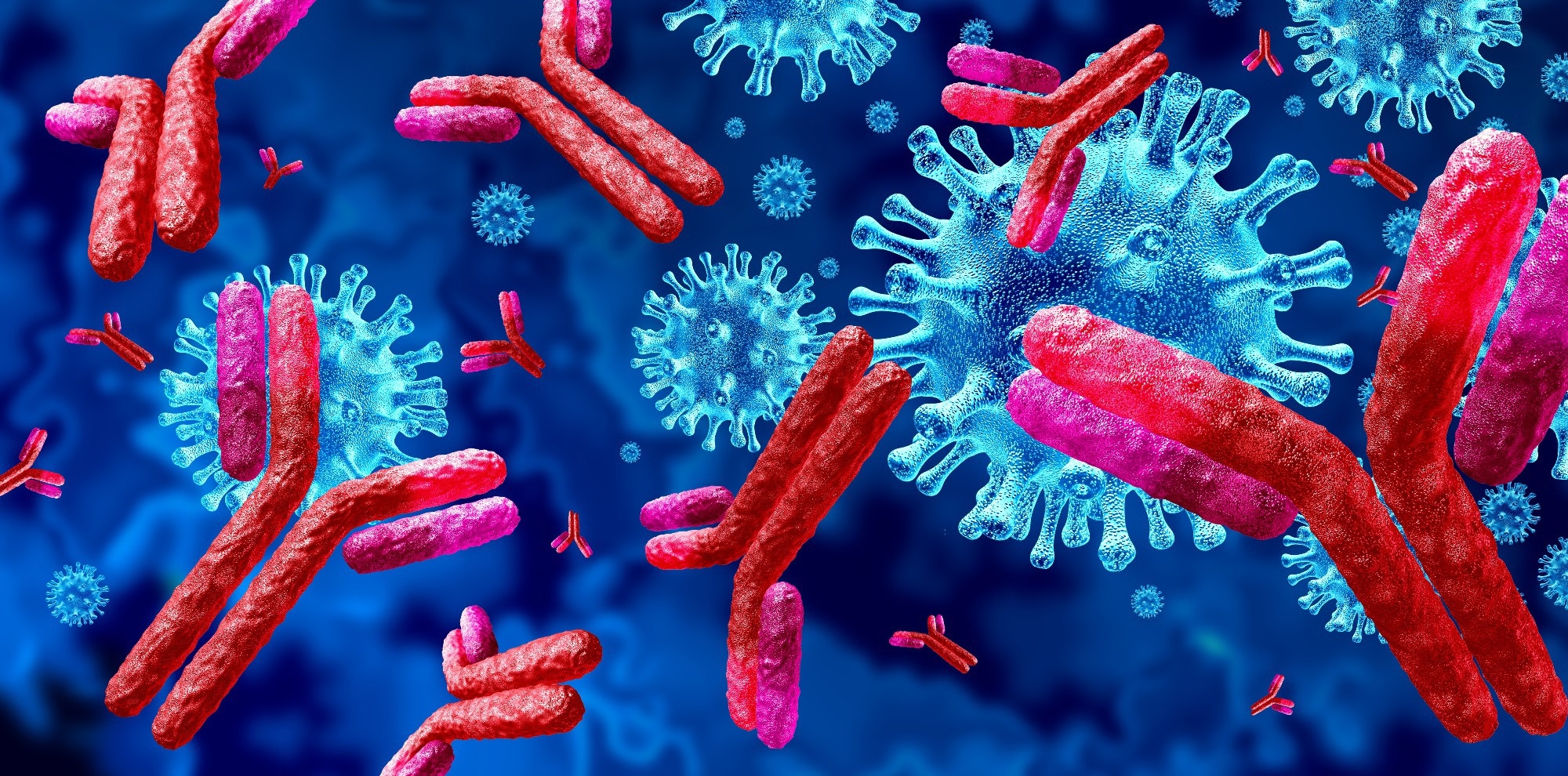 Study: IMM-BCP-01, a patient-derived anti-SARS-CoV-2 antibody cocktail, is active across variants of concern including Omicron BA.1 and BA.2. Image Credit: Lightspring / Shutterstock