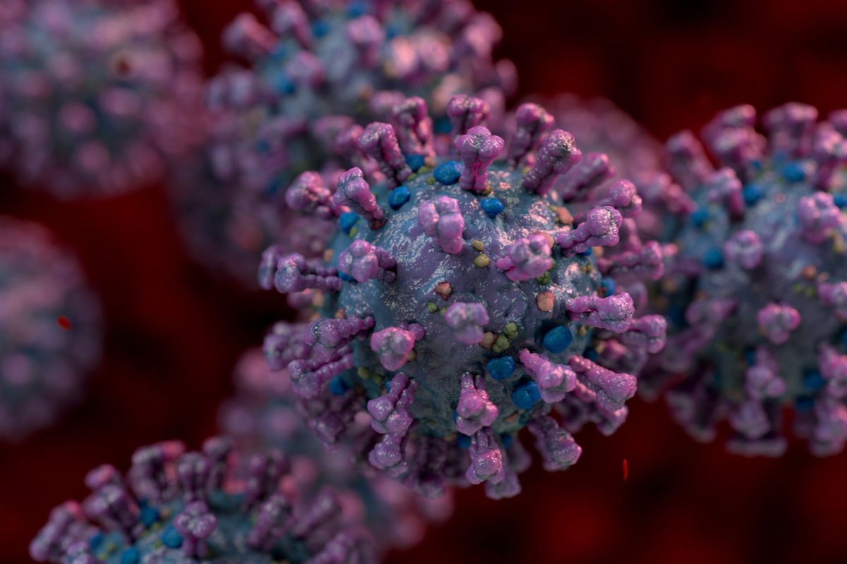 Study: Accelerated SARS-CoV-2 intrahost evolution leading to distinct genotypes during chronic infection. Image Credit: Ninc Vienna/Shutterstock