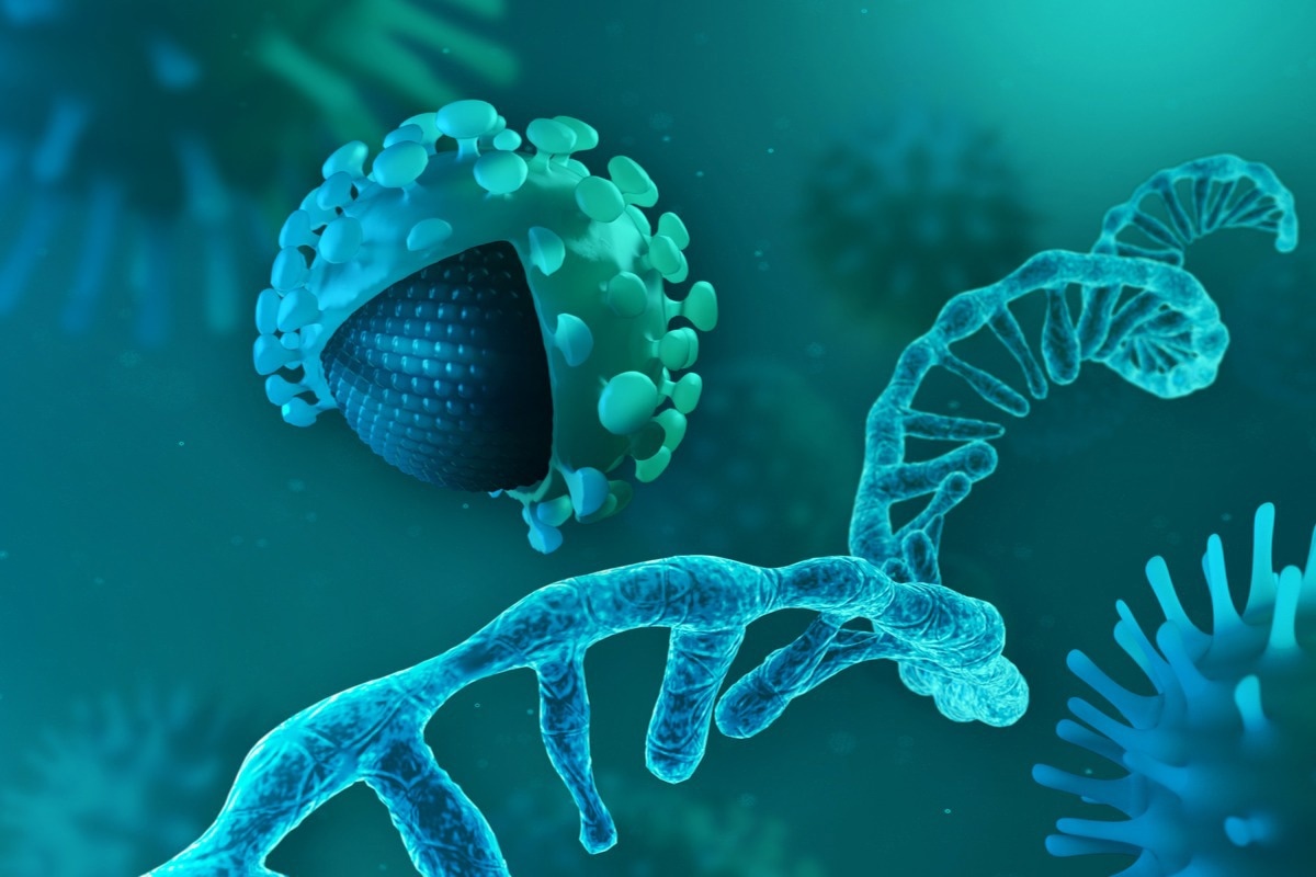 Study: Cell tropism and viral clearance during SARS-CoV-2 lung infection. Image Credit: CROCOTHERY/Shutterstock