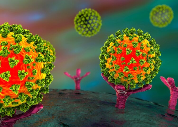 Study: Spike-mediated ACE2 down-regulation involved in the pathogenesis of SARS-CoV-2 infection. Image Credit: Kateryna Kon/Shutterstock