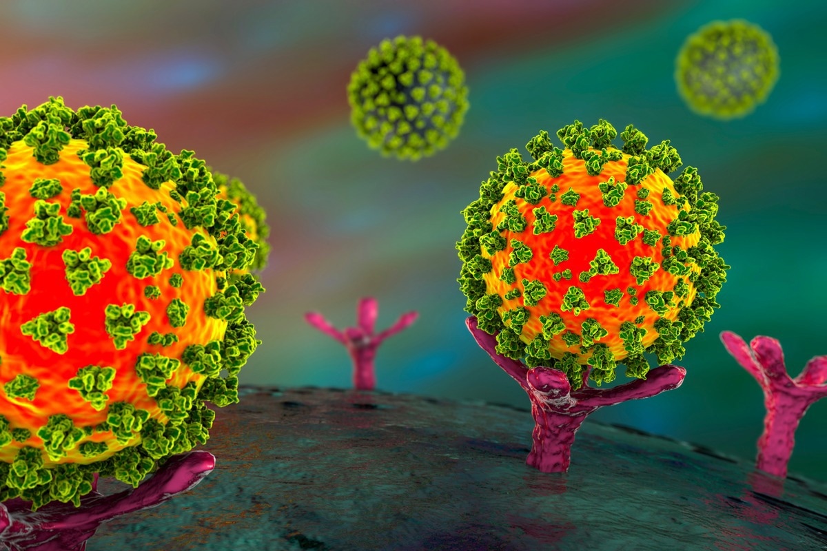 Study: Spike-mediated ACE2 down-regulation involved in the pathogenesis of SARS-CoV-2 infection. Image Credit: Kateryna Kon/Shutterstock