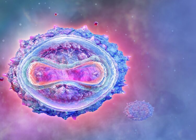 Study: Monkeypox in humans: a new outbreak. Image Credit: Corona Borealis Studio/Shutterstock