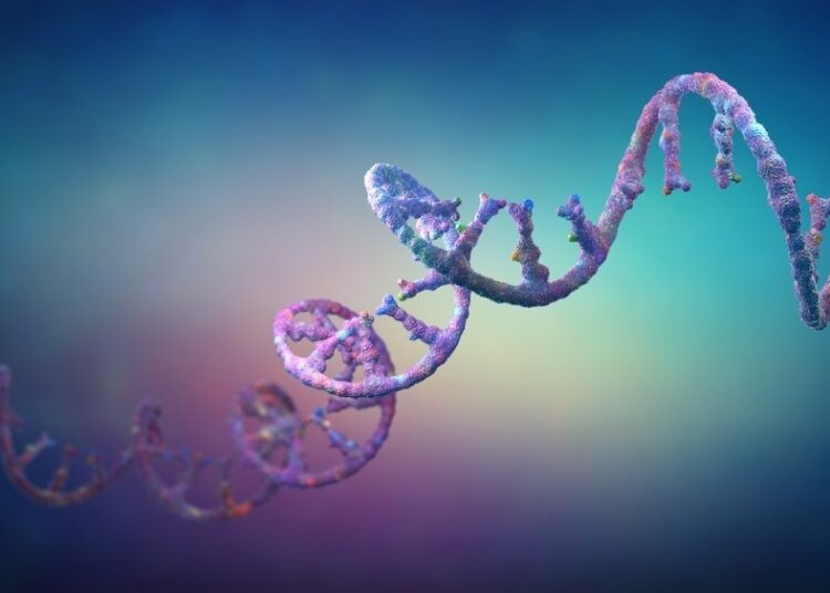 Study: Circular RNA Vaccine, A Novel mRNA Vaccine Design Strategy For SARS-Cov-2 And Variants. Image Credit: Christoph Burgstedt / Shutterstock.com