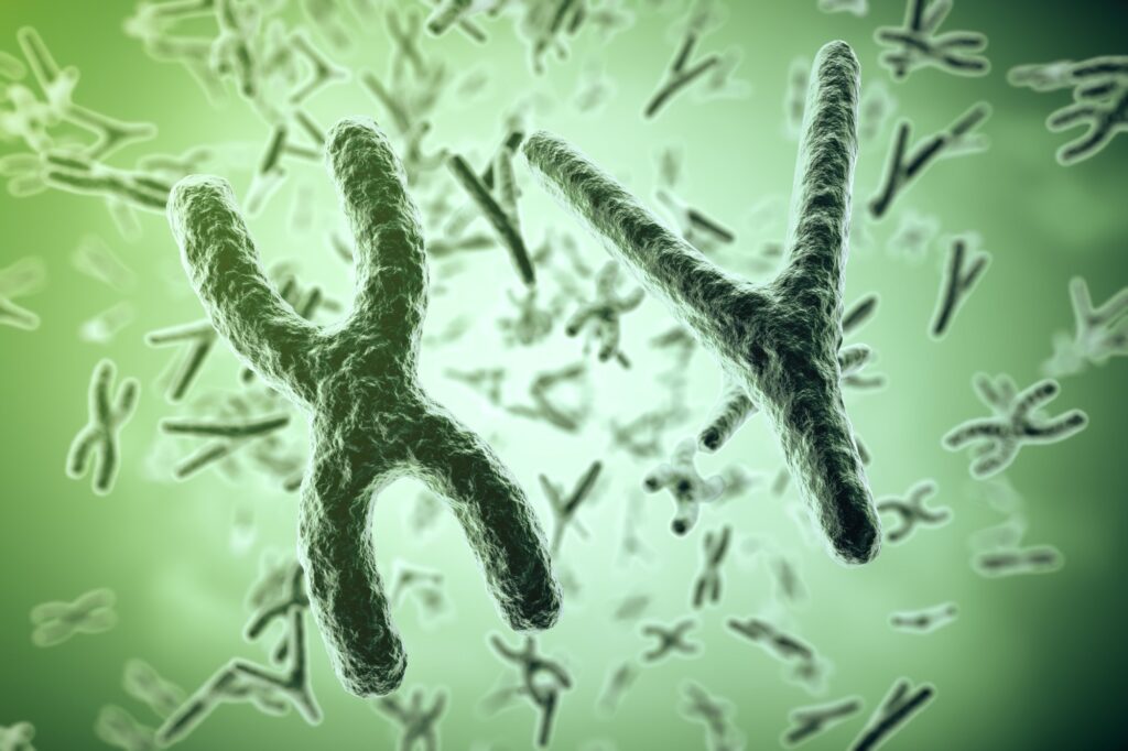 Study: Roadmap for Sex-Responsive Influenza and COVID-19 Vaccine Research in Older Adults. Image Credit: Rost9 / Shutterstock