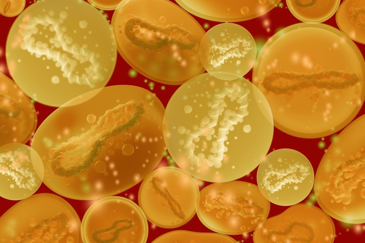 Study: Assessing transmission risks and control strategy for monkeypox as an emerging zoonosis in a metropolitan area. Image Credit: FOTOGRIN/Shutterstock