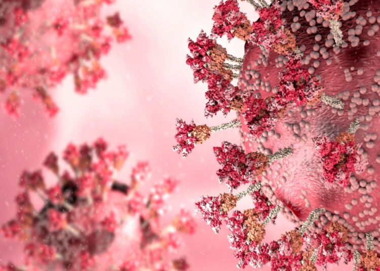 Study: Breakthrough SARS-CoV-2 infections during periods of delta and omicron predominance, South Africa. Image Credit: Naeblys/Shutterstock