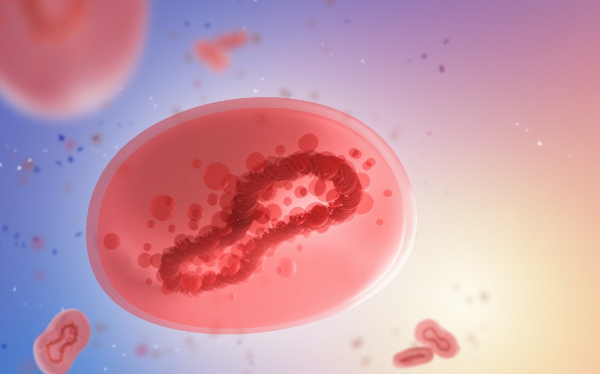 Study: Human Monkeypox without Viral Prodrome or Sexual Exposure, California, USA, 2022. Image Credit: FOTOGRIN/Shutterstock