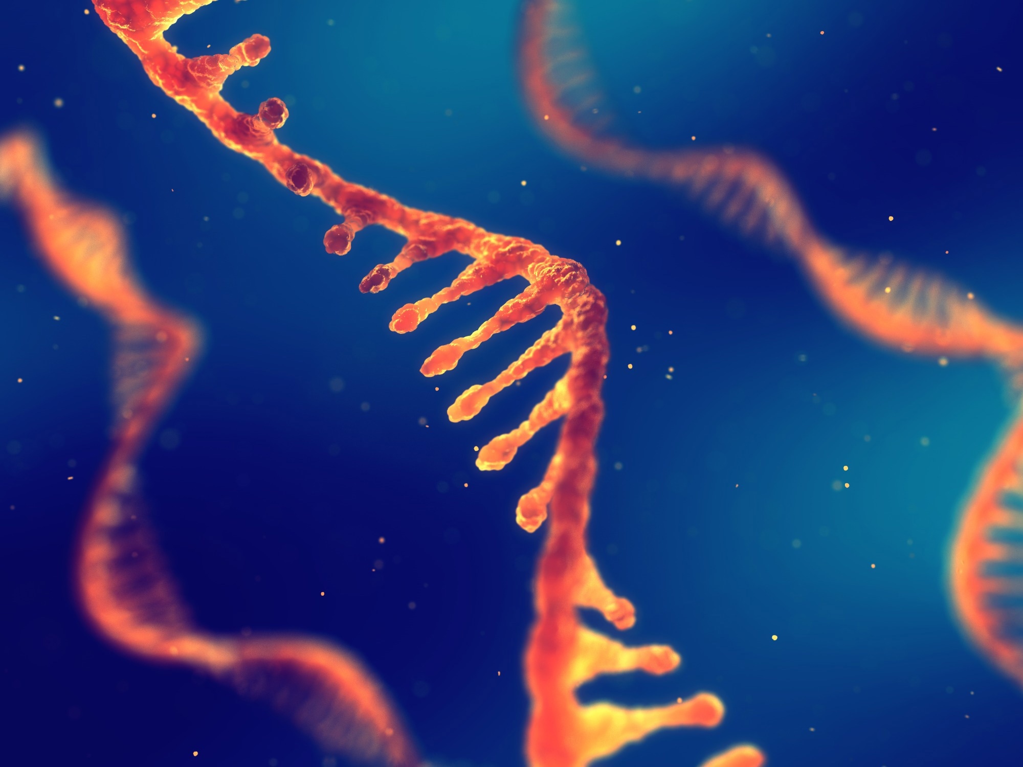 Study: A replicon RNA vaccine induces durable protective immunity from SARS-CoV-2 in nonhuman primates after neutralizing antibodies have waned. Image Credit: nobeastsofierce/Shutterstock