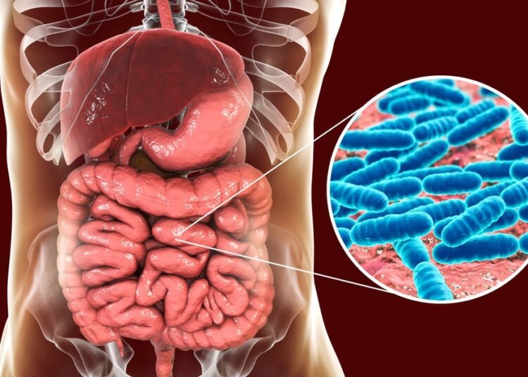 Study: COVID-19 severity is associated with population-level gut microbiome variations. Image Credit: Kateryna Kon/Shutterstock