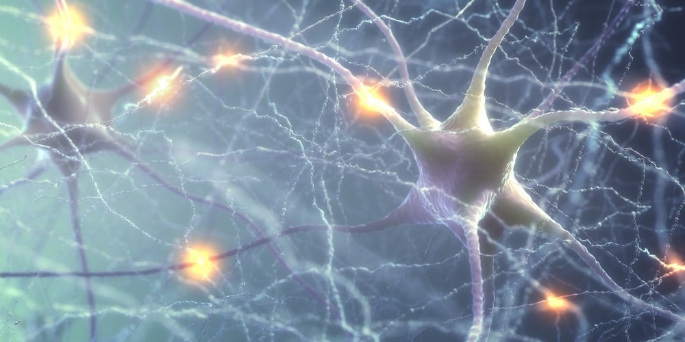 Study: Gut microbes and food reward: From the gut to the brain. Image Credit: ktsdesign / Shutterstock.com