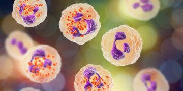 Study: Neutrophil proteomics identifies temporal changes and hallmarks of delayed recovery in COVID19. Image Credit: Kateryna Kon / Shutterstock.com