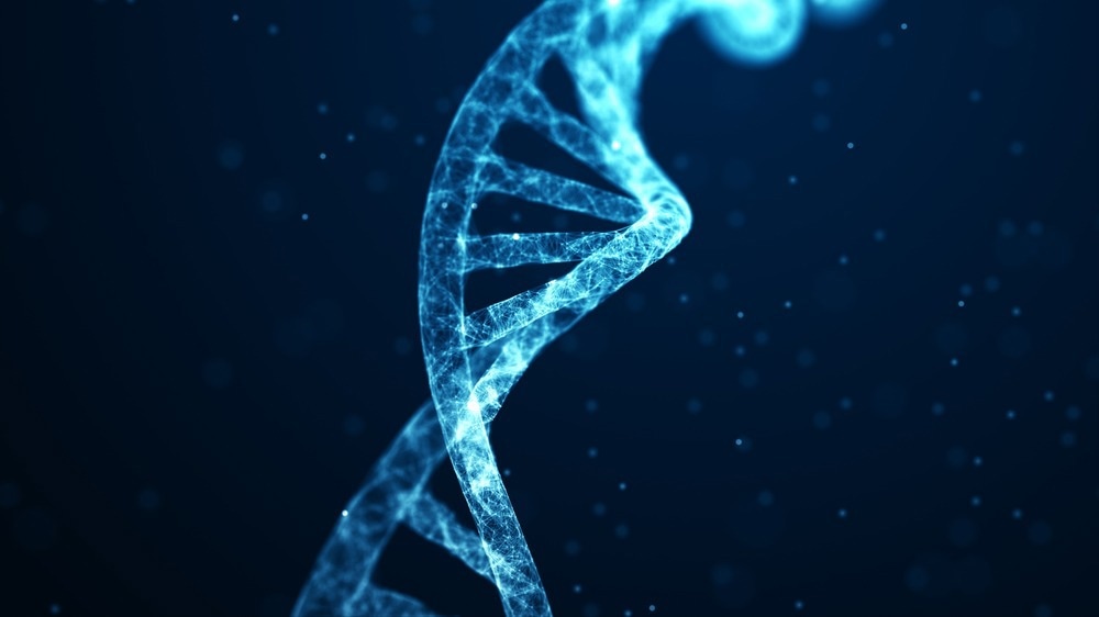 Study: Enhancing antibody responses by multivalent antigen display on thymus-independent DNA origami scaffolds. Image Credit: your/Shutterstock