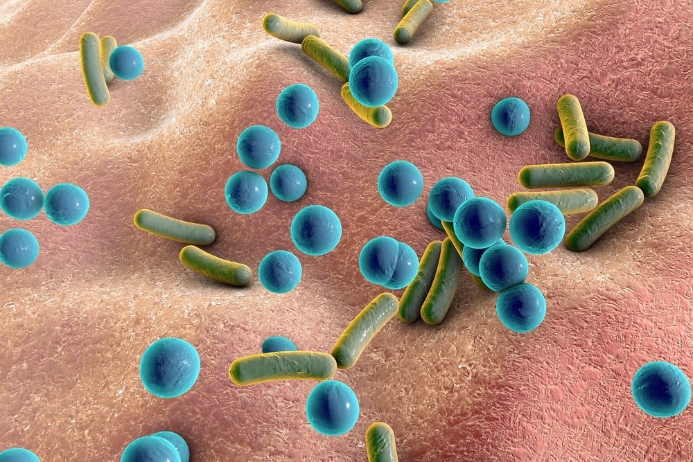 Study: A New Model to Investigate the Effects of Cosmetics on Skin Microorganisms In Vitro. Image Credit: Kateryna Kon / Shutterstock.com